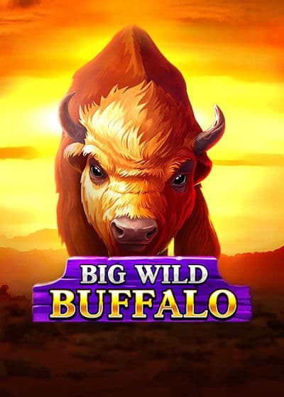 Velvet Spins Online Casino Review for Australian Players
